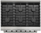 THOR Kitchen Convection Gas Range 6 Burners 91.4cm 169.9L LRG3601U