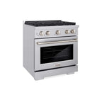 ZLINE Paramount Gas Range SGR30