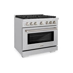 ZLINE Paramount Gas Range Convection Oven 6 Burners 91.4cm SGR36